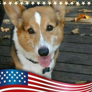 Meet your Posher, Sherry